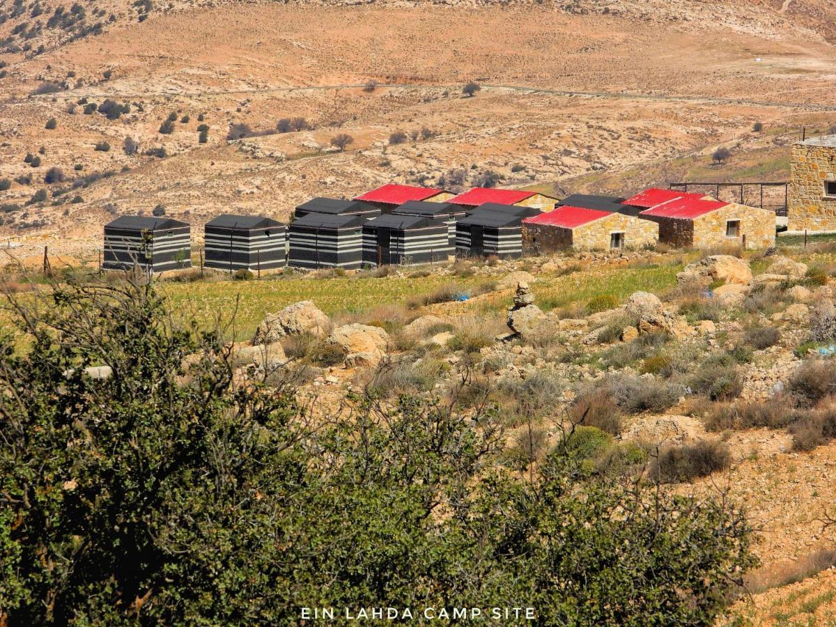 Hotel Ein Lahda Camp-Site Dana Exterior foto